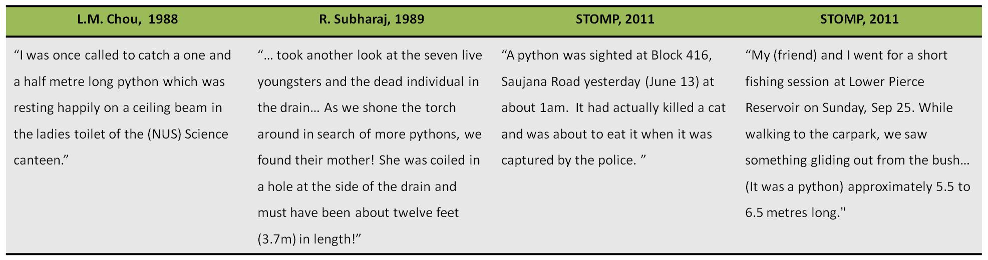 python_-_singapore_sightings.jpg