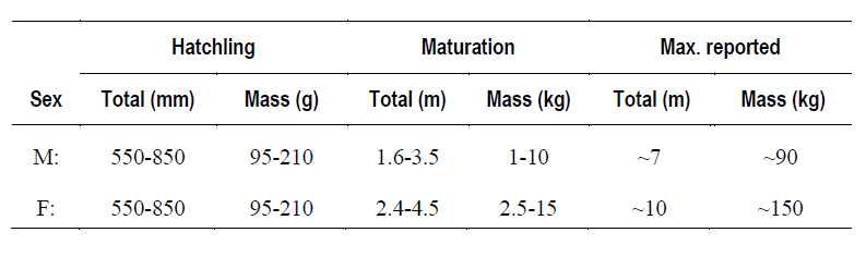 python_-_size_table.png