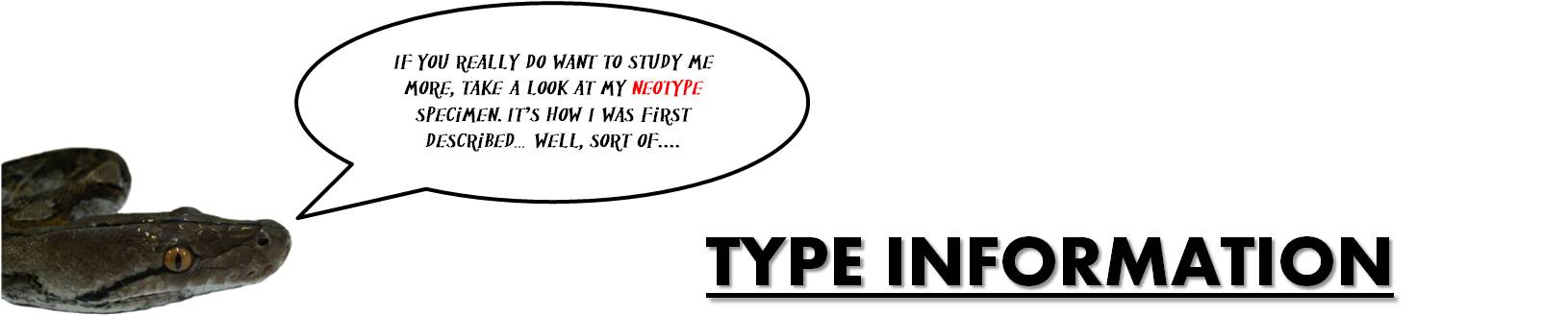 python_-_type.jpg