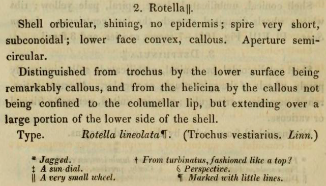 rotella description.png