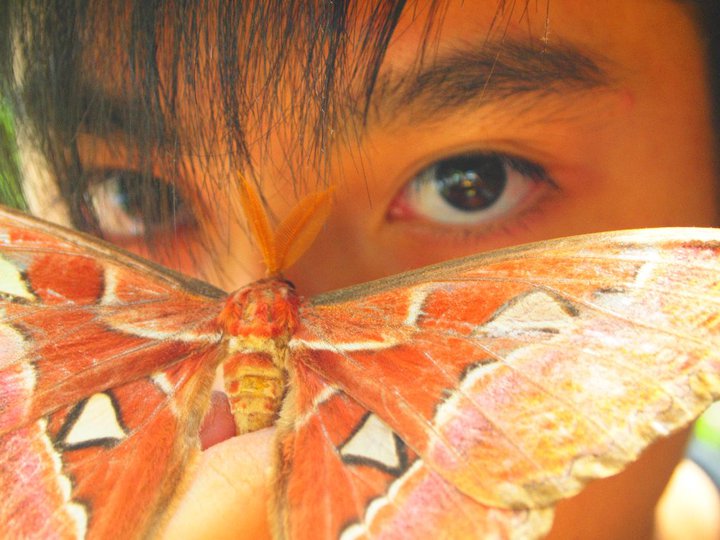 sean yap woohoo moth handsome.jpg sean yap woohoo moth handsome.jpg
