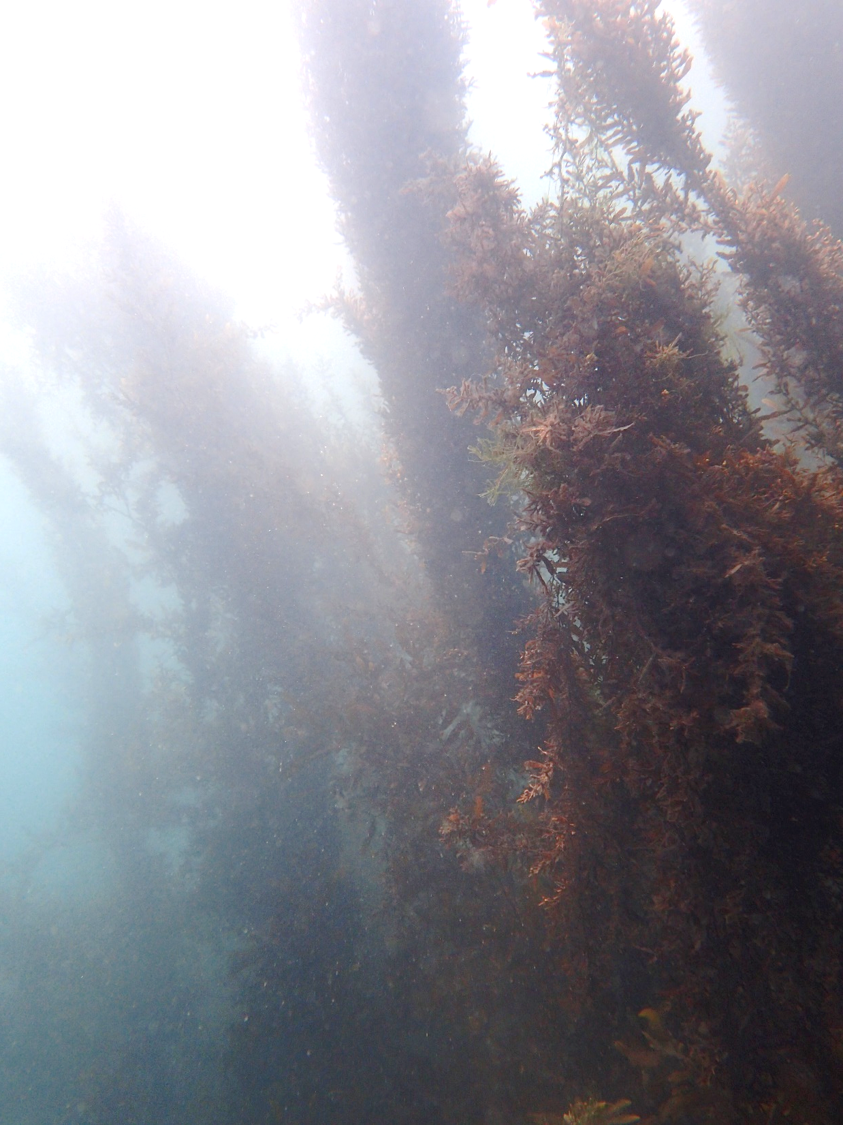 shading.png shading.png