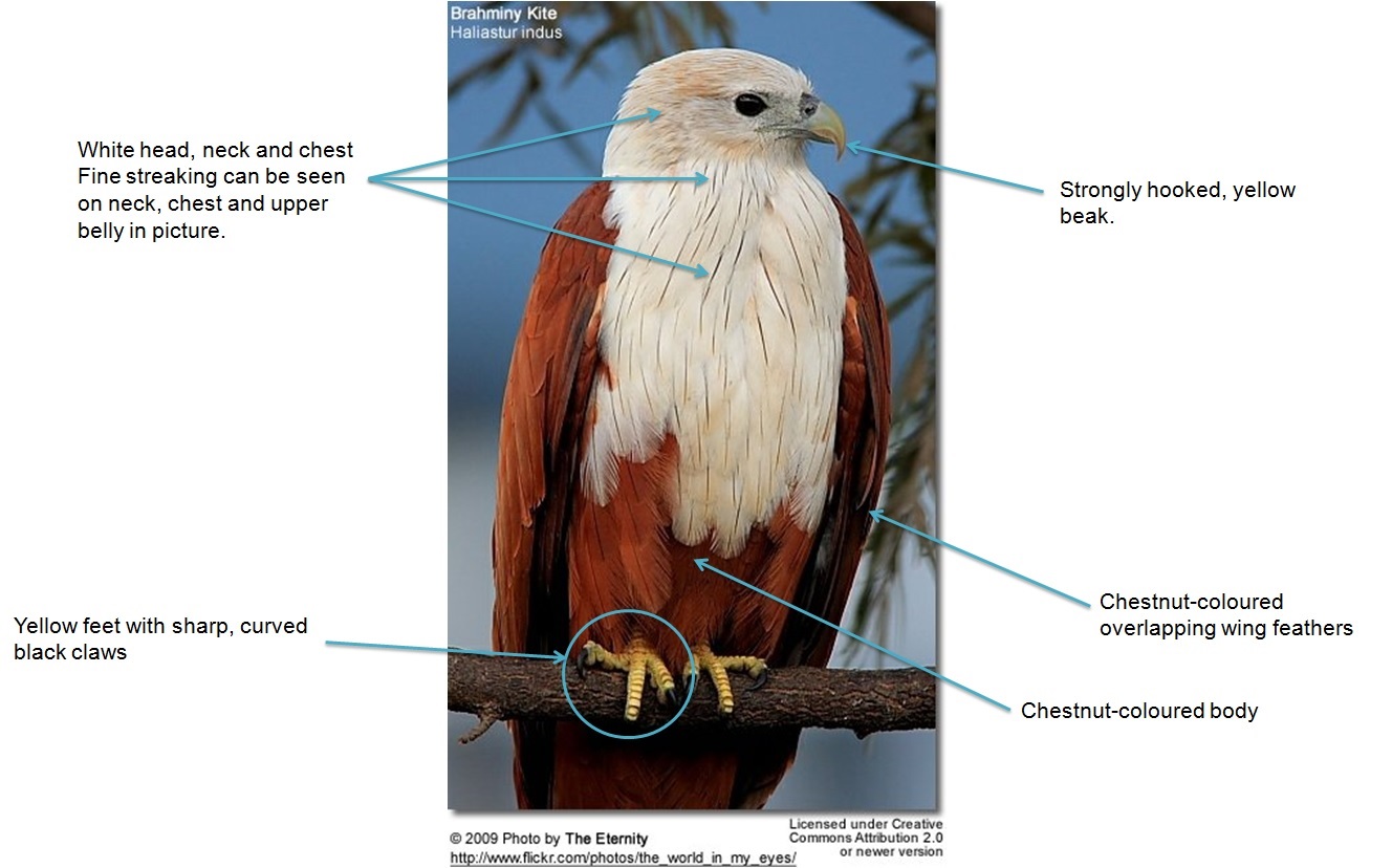 taxo_bk parts label edited 2222.jpg
